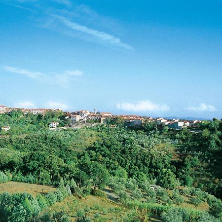 Apartment Il Felciaione-2 By Interhome ريباربيلا المظهر الخارجي الصورة